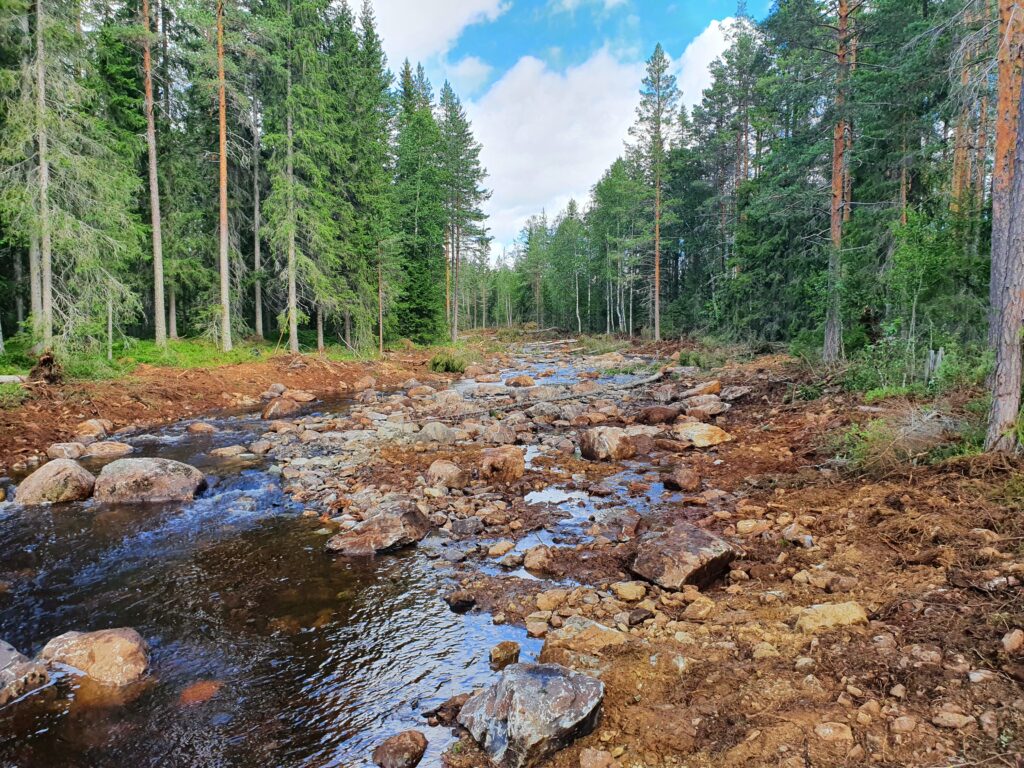 Restored stream with lots of smaller stones.