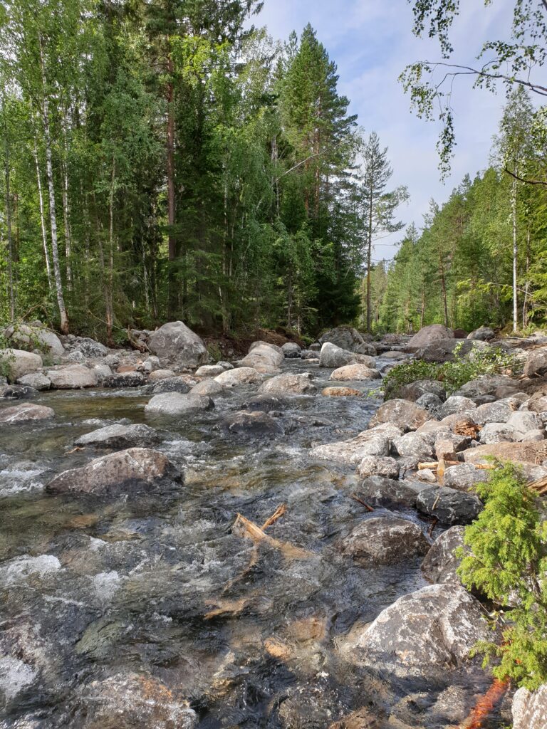 Restaurerat vattendrag där de stenar och block som utgör botten är av naturlig karaktär.