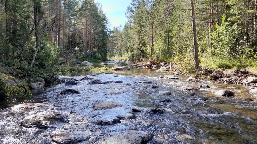 Watercourse with a lot of boulders and stones.