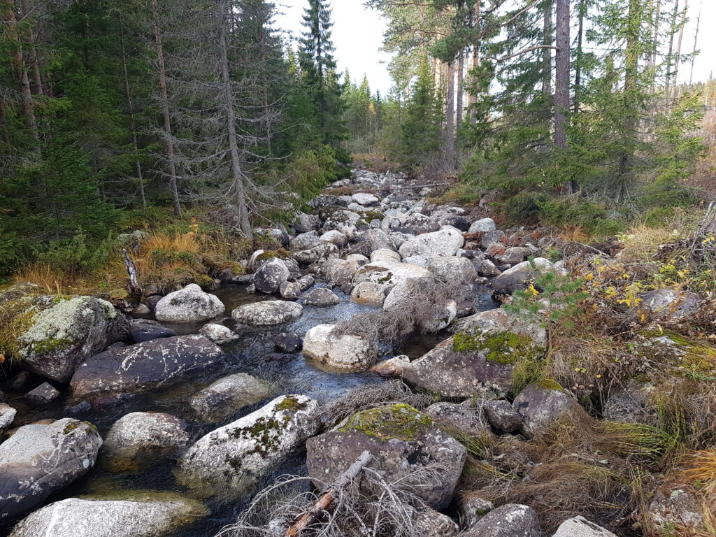 Vattendrag där man nästan inte ser något av vattnet på grund av mängden sten och block.