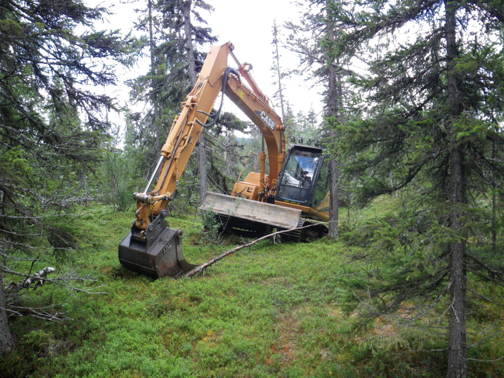 Grävmaskin i granskog.