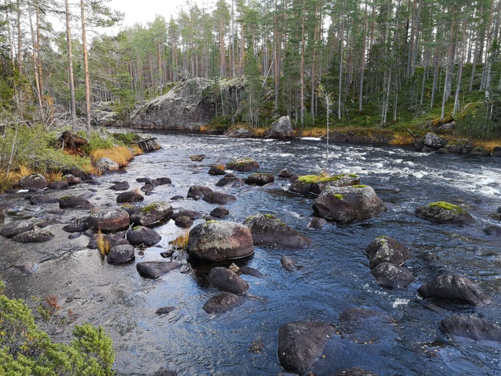 Ett vattendrag med många stenar