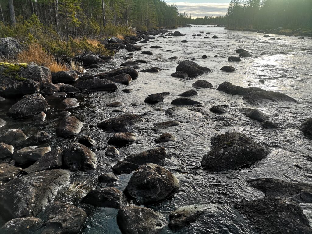 A small section of the river near the shore has lower water flow than the main channel and lots of stones. 