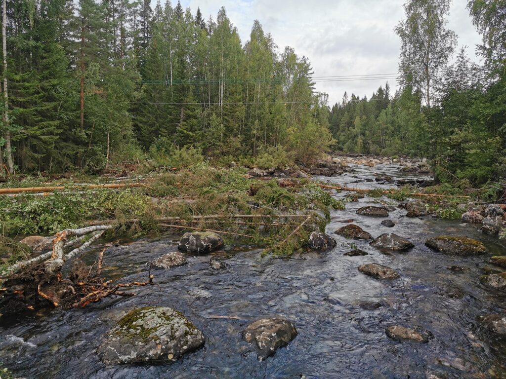 Vattendrag med mycket sten, block och nyfällda träd. 