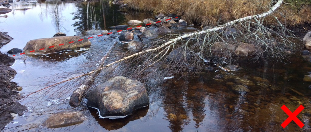 Rak och onaturlig forsnacke i Karlsbäcken.